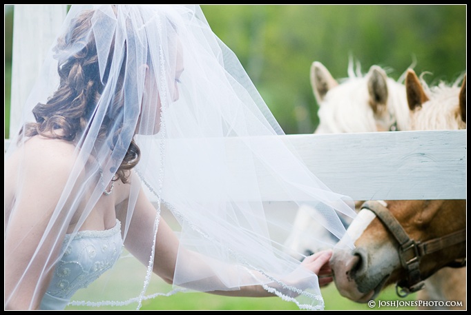 Carrie and Ronn's Wedding - J. Jones Photography