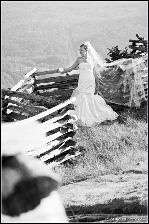 Cliffs at Glassy Wedding Photographer