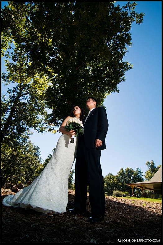 Cleveland Park Wedding Photos