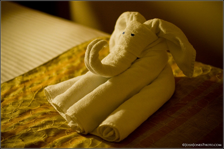 Carnival Cruise Towel Creations
