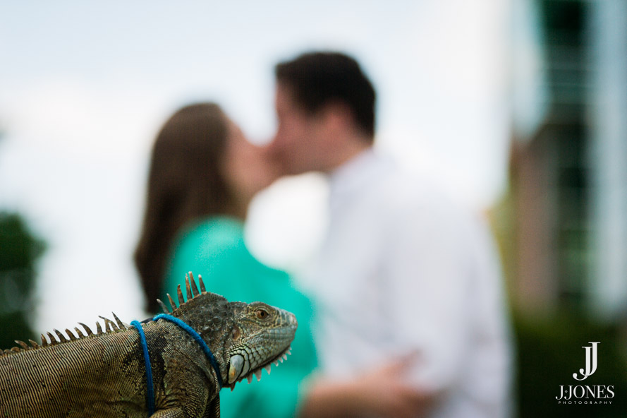 Engagement Session with Iguana